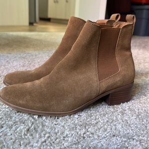 Steve Madden Brown Chelsea Booties